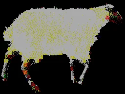 SHEEP